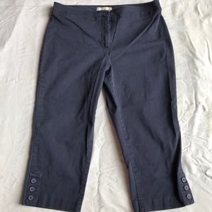 Talbots petite navy capris